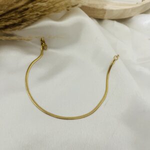 Snake Chain Anklets